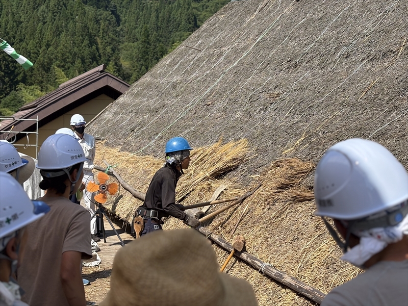 やきもち家様茅葺屋根葺替え工事